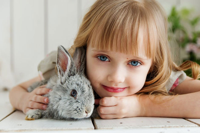8 تاثیر مثبت نگهداری حیوان خانگی در تربیت کودک