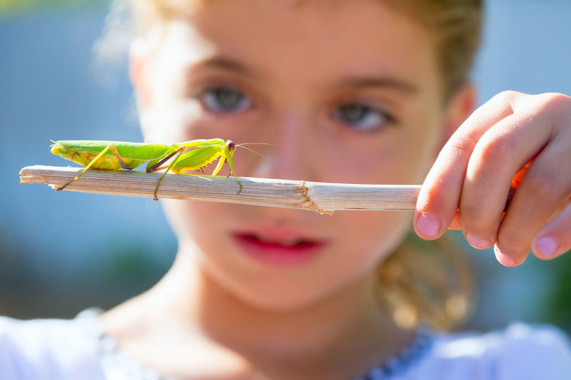 15 راهکار مقابله با ترس کودکان از حشرات